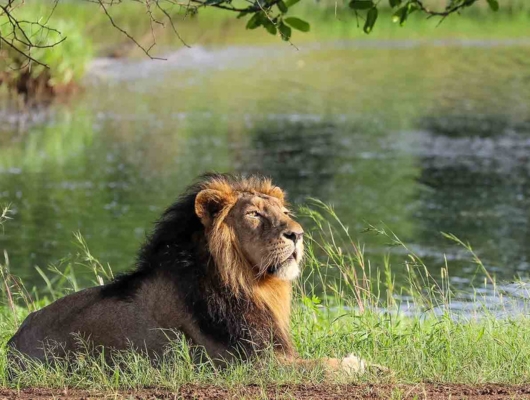 Gujarat Tour Packages